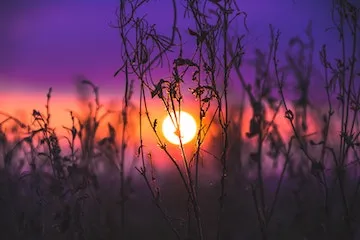 Avondlucht boven een veld