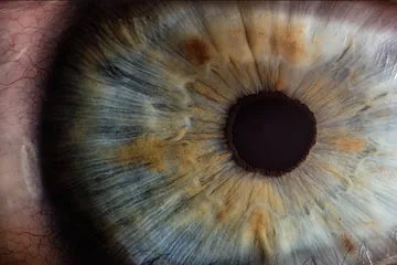 Close-up van een oog